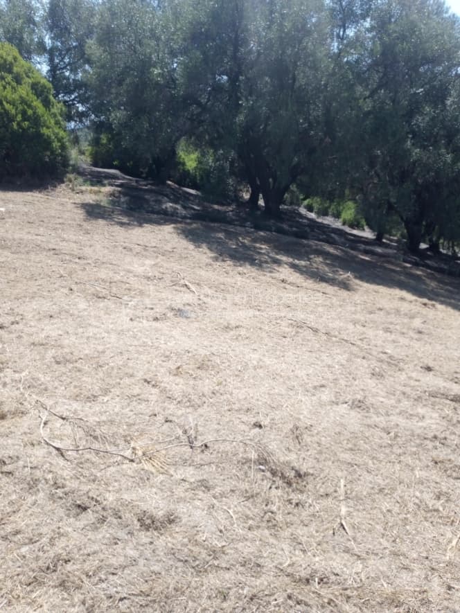 Οικόπεδο στην Άγιος Γεώργιος, Κέρκυρα — Φωτογραφία 5 από 10