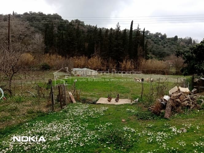 Αποθήκη στην Άγιος Γεώργιος, Κέρκυρα — Φωτογραφία 3 από 8