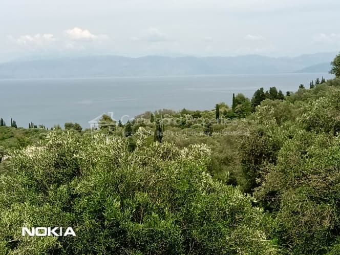 Οικόπεδο στην Μελιτειέοι, Κέρκυρα — Φωτογραφία 4 από 16