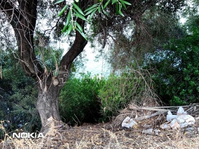 Οικόπεδο στην Μελιτειέοι, Κέρκυρα — Φωτογραφία 25 από 27