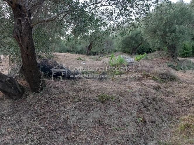 Οικόπεδο στην Αχίλλειο, Κέρκυρα — Φωτογραφία 14 από 29