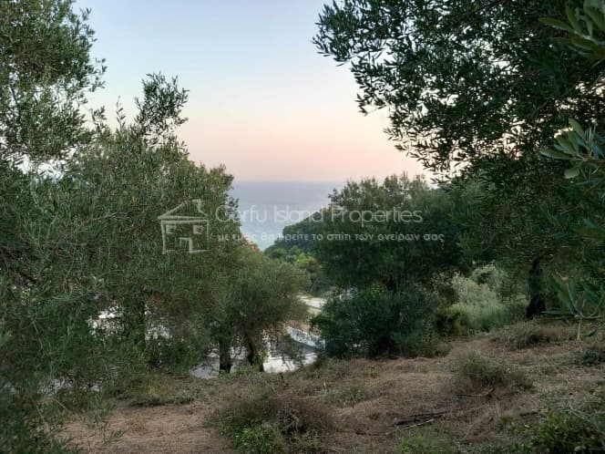 Οικόπεδο στην Αχίλλειο, Κέρκυρα — Φωτογραφία 25 από 29