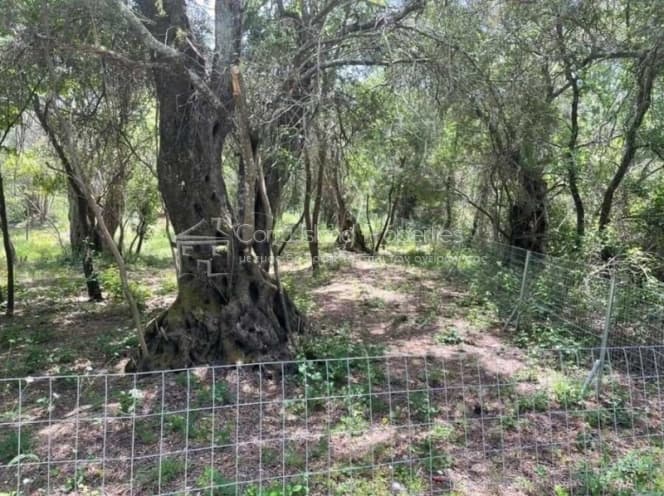 Οικόπεδο στην Παλαιοκαστρίτσα, Κέρκυρα — Φωτογραφία 12 από 22