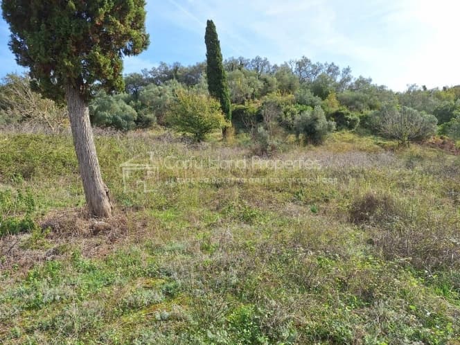Οικόπεδο στην Αχίλλειο, Κέρκυρα — Φωτογραφία 4 από 25