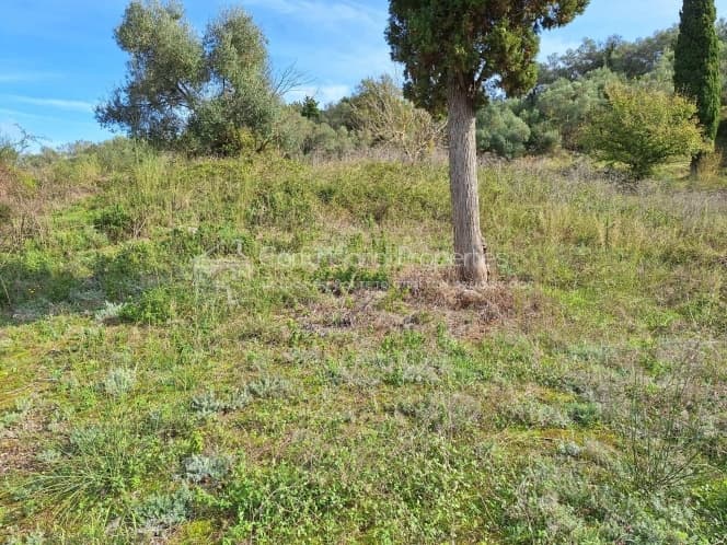 Οικόπεδο στην Αχίλλειο, Κέρκυρα — Φωτογραφία 1 από 25
