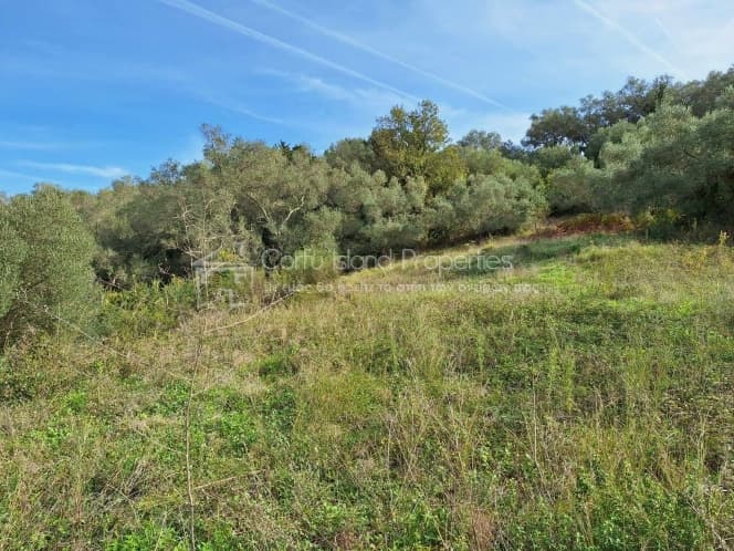 Οικόπεδο στην Αχίλλειο, Κέρκυρα — Φωτογραφία 5 από 25