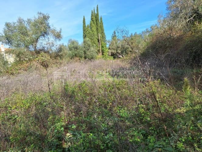 Οικόπεδο στην Αχίλλειο, Κέρκυρα — Φωτογραφία 3 από 25