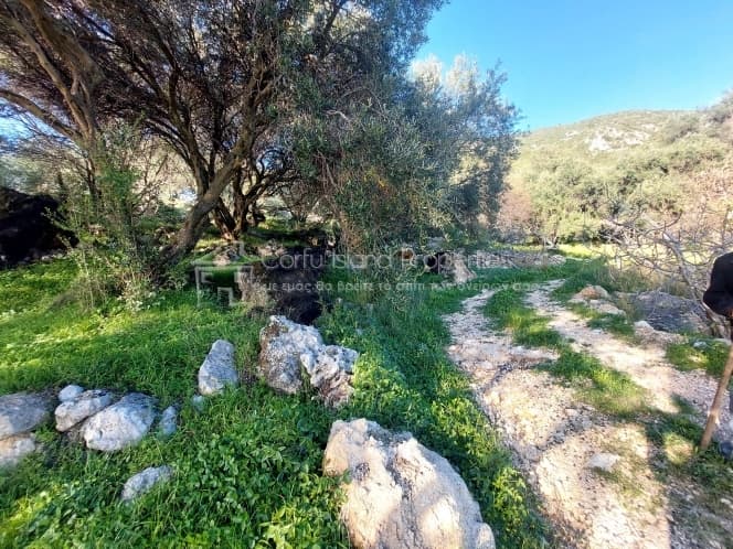 Οικόπεδο στην Μελιτειέοι, Κέρκυρα — Φωτογραφία 22 από 24