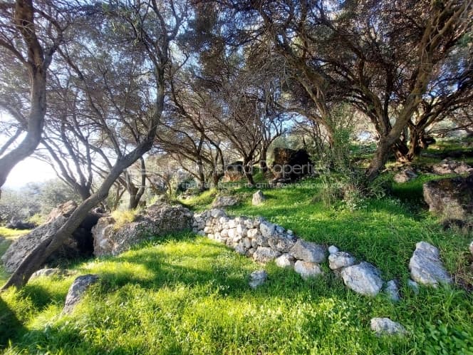 Οικόπεδο στην Μελιτειέοι, Κέρκυρα — Φωτογραφία 17 από 24