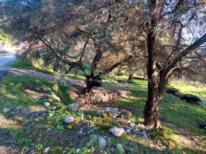 Οικόπεδο στην Μελιτειέοι, Κέρκυρα — Φωτογραφία 15 από 24