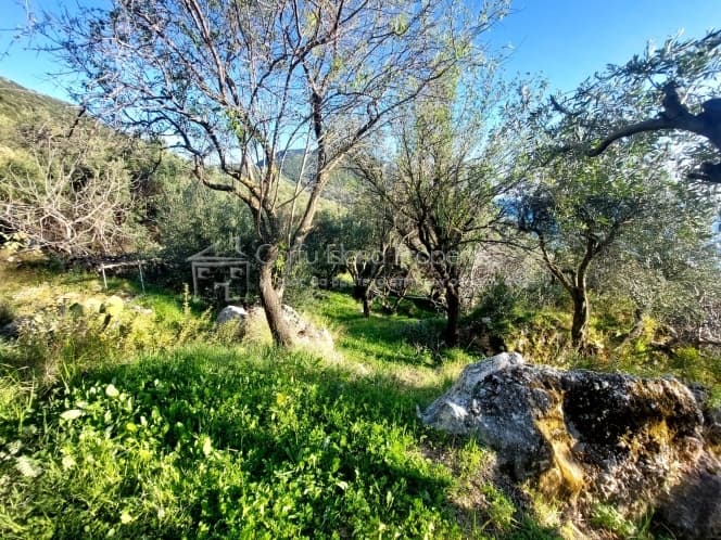 Οικόπεδο στην Μελιτειέοι, Κέρκυρα — Φωτογραφία 13 από 24