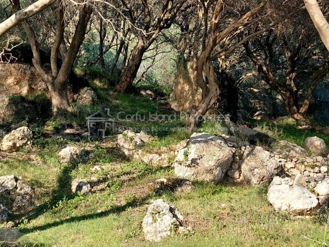 Οικόπεδο στην Μελιτειέοι, Κέρκυρα — Φωτογραφία 24 από 24
