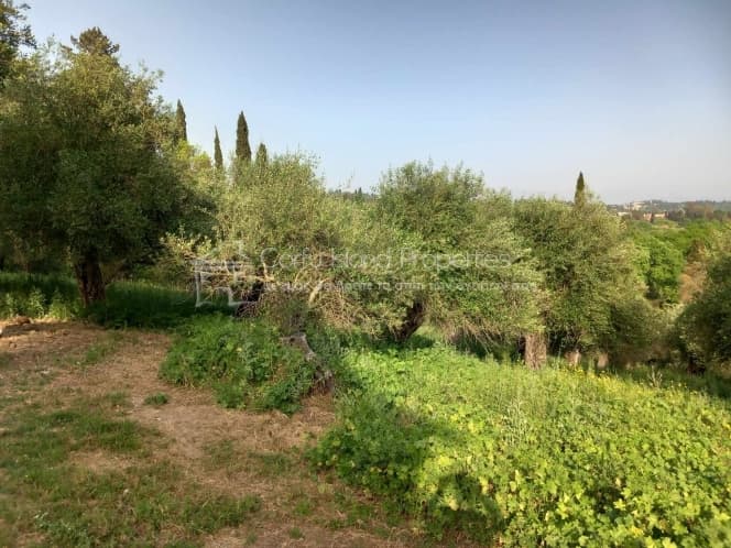 Οικόπεδο στην Παρέλι, Κέρκυρα — Φωτογραφία 8 από 13
