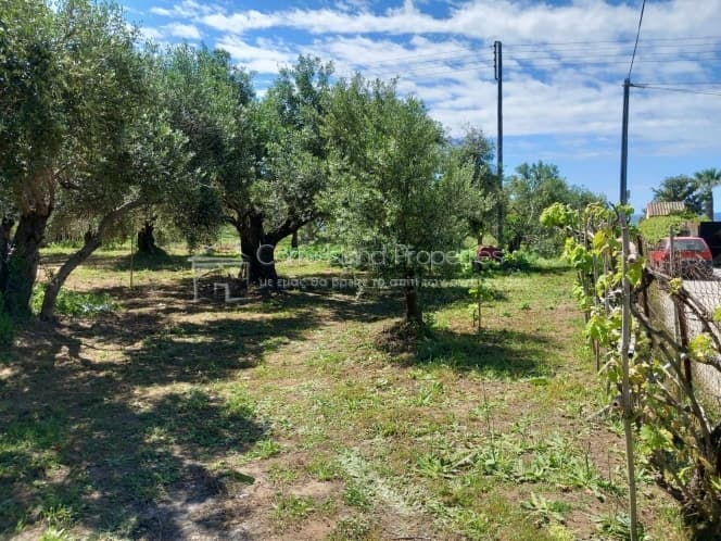 Οικόπεδο στην Μελιτειέοι, Κέρκυρα — Φωτογραφία 27 από 30
