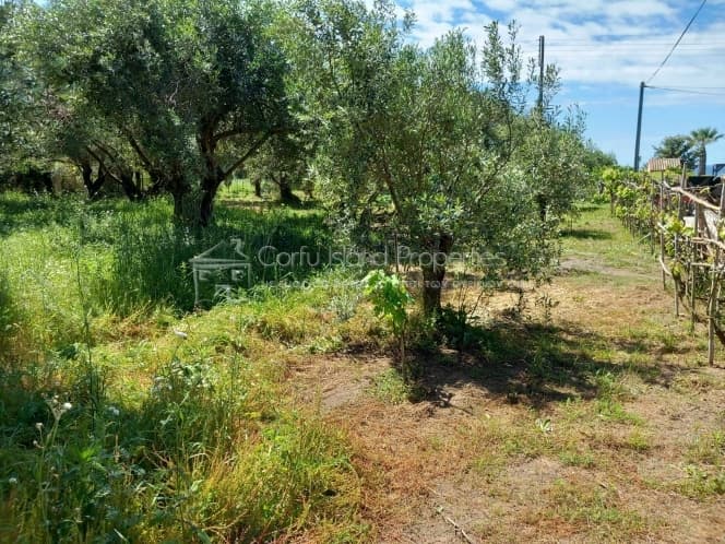 Οικόπεδο στην Μελιτειέοι, Κέρκυρα — Φωτογραφία 21 από 30