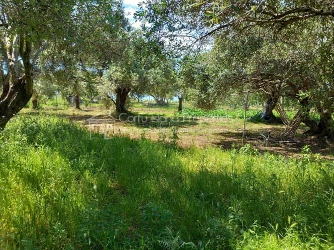 Οικόπεδο στην Μελιτειέοι, Κέρκυρα — Φωτογραφία 24 από 30