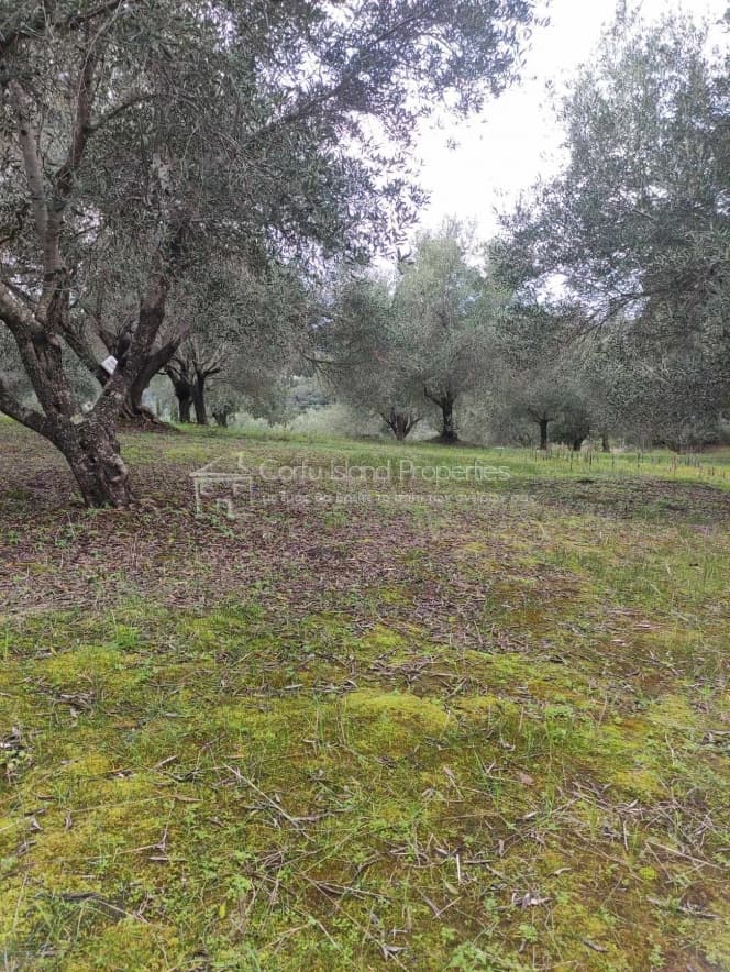 Οικόπεδο στην Άγιος Γεώργιος, Κέρκυρα — Φωτογραφία 4 από 8