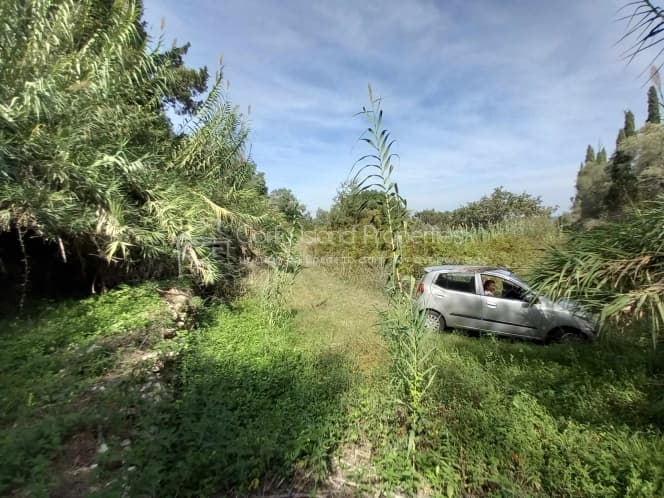 Αποθήκη στην Παρέλι, Κέρκυρα — Φωτογραφία 29 από 30