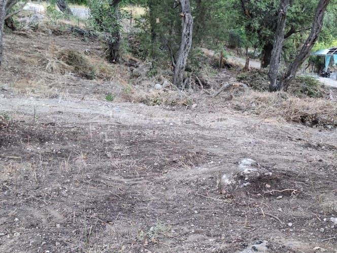 Οικόπεδο στην Μελιτειέοι, Κέρκυρα — Φωτογραφία 16 από 30