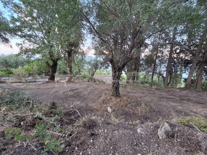 Οικόπεδο στην Μελιτειέοι, Κέρκυρα — Φωτογραφία 23 από 30