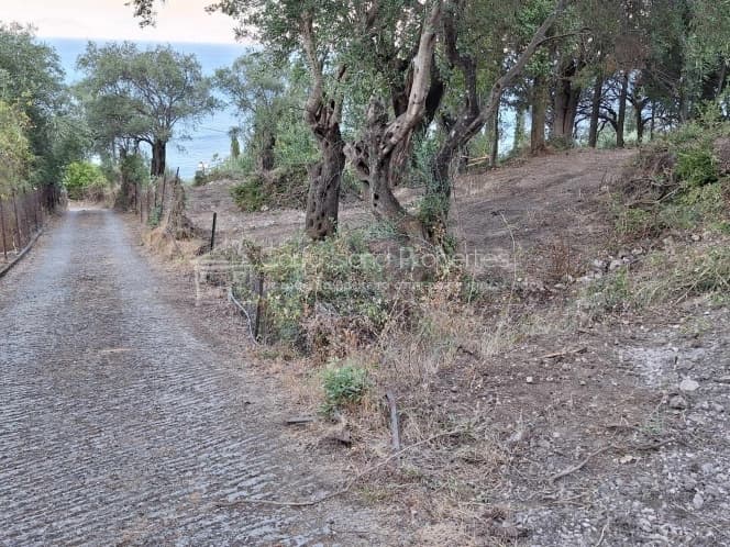 Οικόπεδο στην Μελιτειέοι, Κέρκυρα — Φωτογραφία 10 από 30