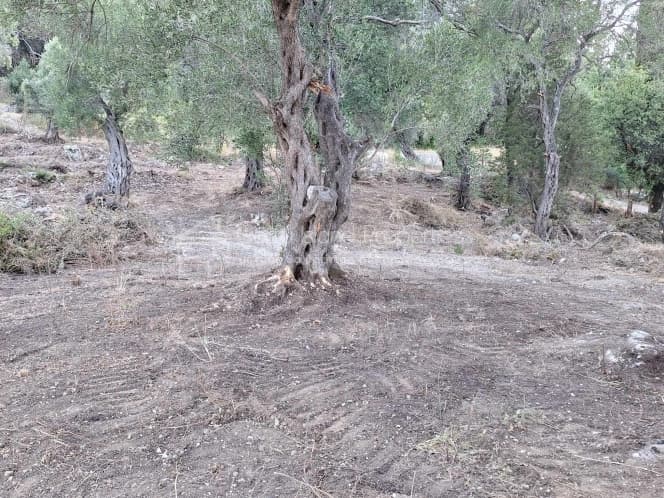 Οικόπεδο στην Μελιτειέοι, Κέρκυρα — Φωτογραφία 13 από 30