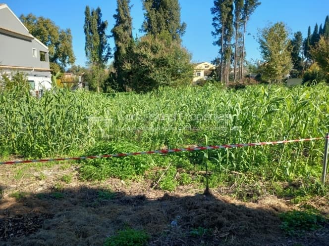 Οικόπεδο στην Παρέλι, Κέρκυρα — Φωτογραφία 9 από 16