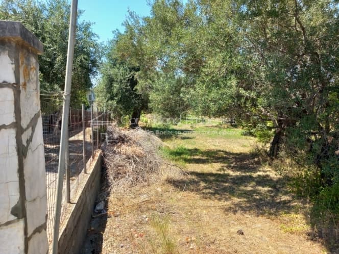 Οικόπεδο στην Βασιλάτικα, Κέρκυρα — Φωτογραφία 29 από 30