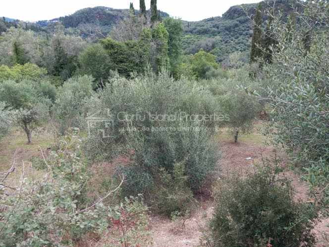Οικόπεδο στην Άγιος Γεώργιος, Κέρκυρα — Φωτογραφία 7 από 12