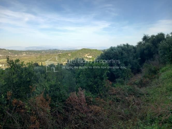Οικόπεδο στην Παρέλι, Κέρκυρα — Φωτογραφία 3 από 19