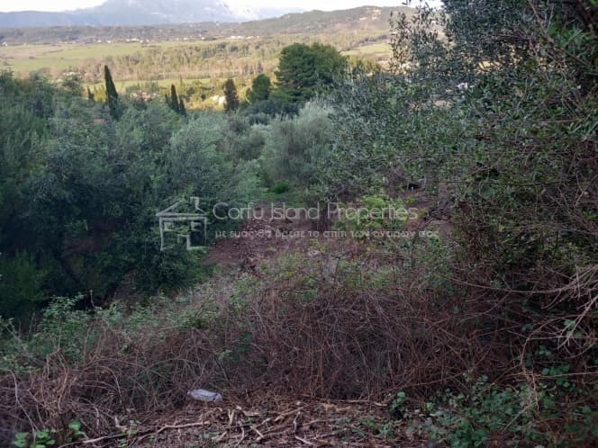 Οικόπεδο στην Παρέλι, Κέρκυρα — Φωτογραφία 12 από 19