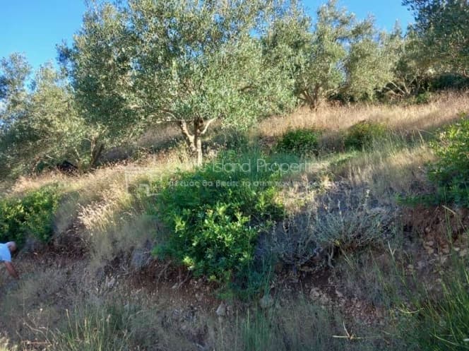 Building Plot in Faiakes, Corfu — Photo 13 of 14