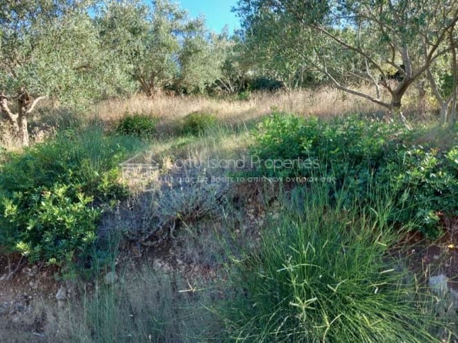 Building Plot in Faiakes, Corfu — Photo 12 of 14