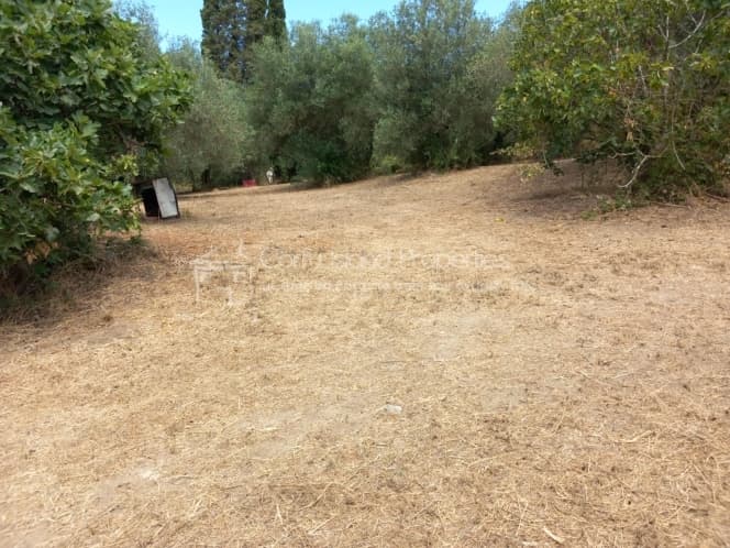 Οικόπεδο στην Παρέλι, Κέρκυρα — Φωτογραφία 1 από 30