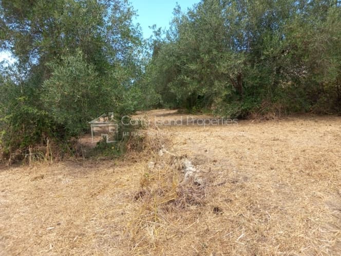 Οικόπεδο στην Παρέλι, Κέρκυρα — Φωτογραφία 10 από 30