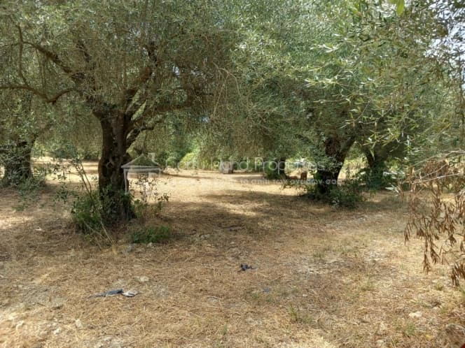 Οικόπεδο στην Παρέλι, Κέρκυρα — Φωτογραφία 15 από 30