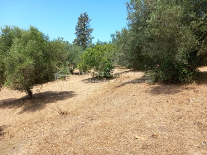 Οικόπεδο στην Παρέλι, Κέρκυρα — Φωτογραφία 4 από 30