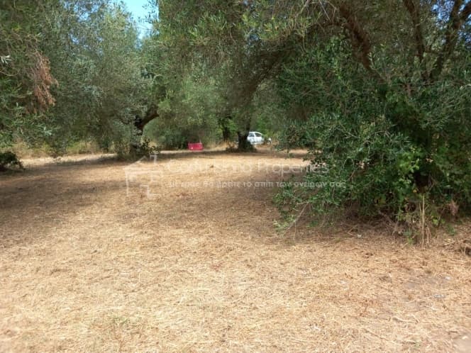 Οικόπεδο στην Παρέλι, Κέρκυρα — Φωτογραφία 5 από 30