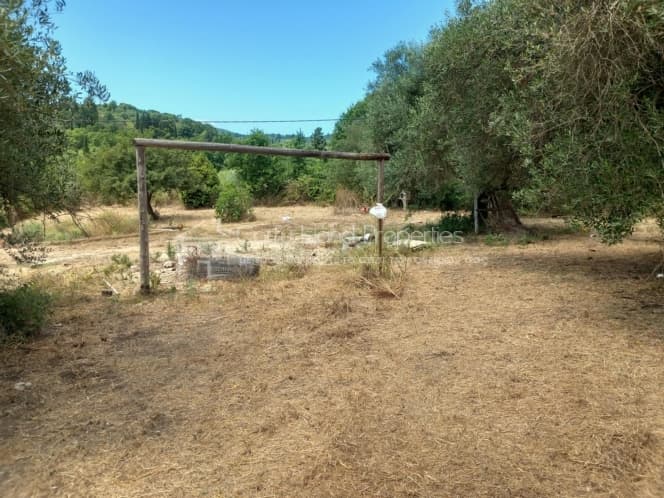 Οικόπεδο στην Παρέλι, Κέρκυρα — Φωτογραφία 16 από 30