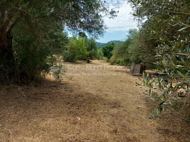Οικόπεδο στην Παρέλι, Κέρκυρα — Φωτογραφία 13 από 30