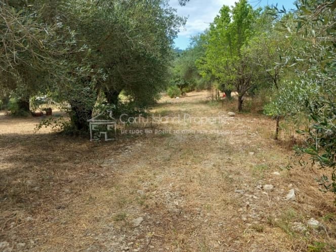 Οικόπεδο στην Παρέλι, Κέρκυρα — Φωτογραφία 25 από 30