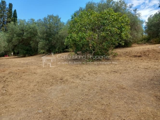 Οικόπεδο στην Παρέλι, Κέρκυρα — Φωτογραφία 3 από 30