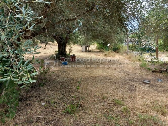 Οικόπεδο στην Παρέλι, Κέρκυρα — Φωτογραφία 14 από 30