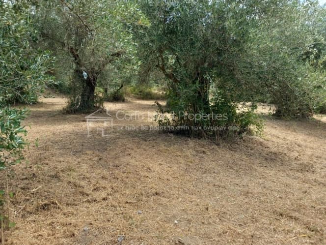 Οικόπεδο στην Παρέλι, Κέρκυρα — Φωτογραφία 9 από 30