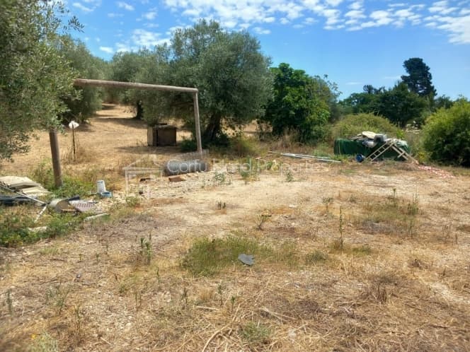 Οικόπεδο στην Παρέλι, Κέρκυρα — Φωτογραφία 19 από 30