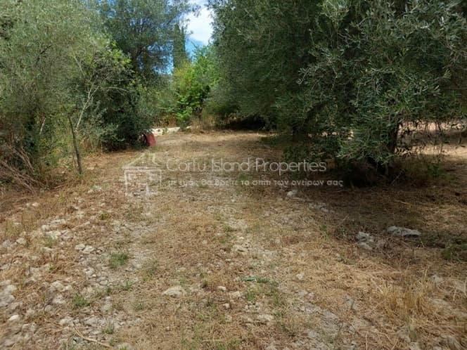 Οικόπεδο στην Παρέλι, Κέρκυρα — Φωτογραφία 20 από 30