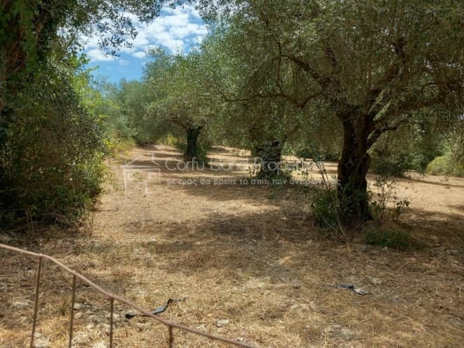 Οικόπεδο στην Παρέλι, Κέρκυρα — Φωτογραφία 12 από 30
