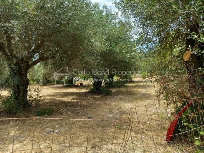 Οικόπεδο στην Παρέλι, Κέρκυρα — Φωτογραφία 11 από 30
