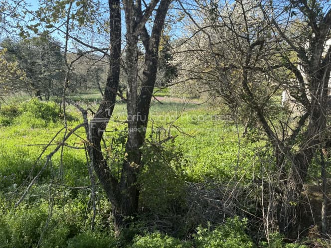Οικόπεδο στην Φαίακες, Κέρκυρα — Φωτογραφία 8 από 13