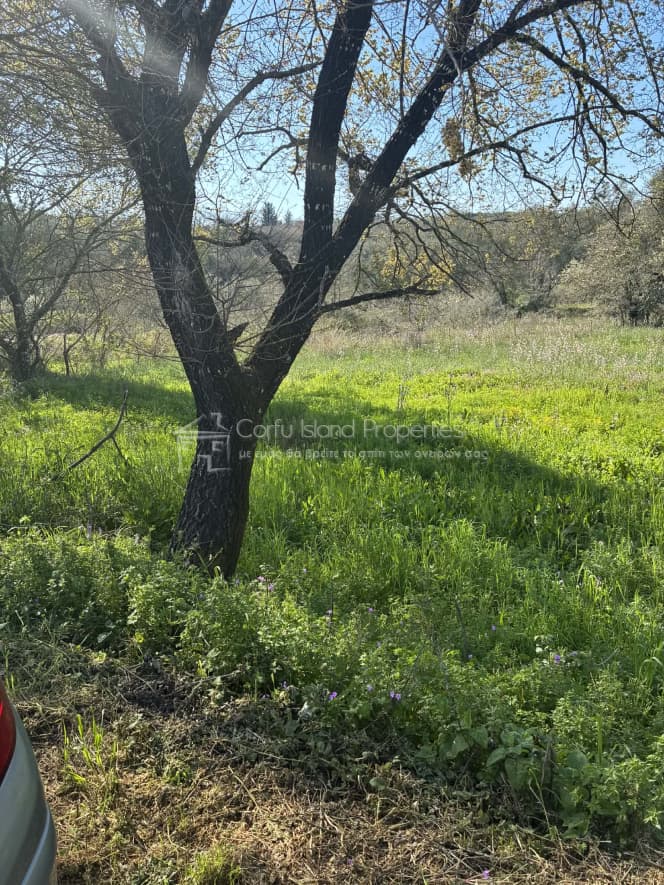 Οικόπεδο στην Φαίακες, Κέρκυρα — Φωτογραφία 3 από 13